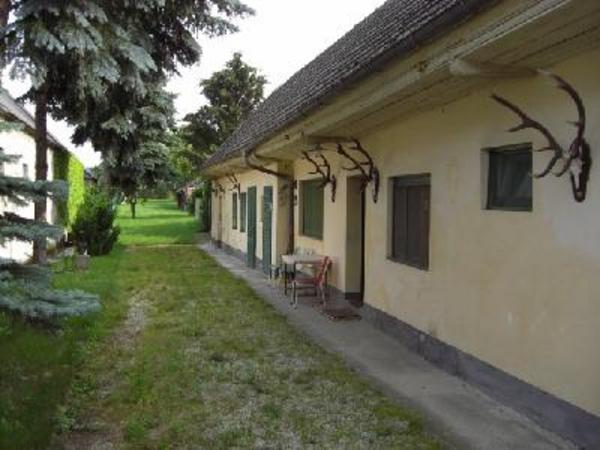 Haus / Einfamilienhaus und Villa - Kauf - 3424 Muckendorf an der Donau - 173715 Haus / Einfamilienhaus und Villa - Kauf - 3424 Muckendorf an der Donau - 173715