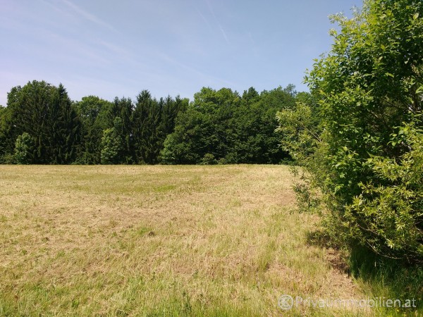 Grundstück für Einfamilienhaus / Villa - 7551 Stegersbach - 223881 Grundstück für Einfamilienhaus / Villa - 7551 Stegersbach - 223881