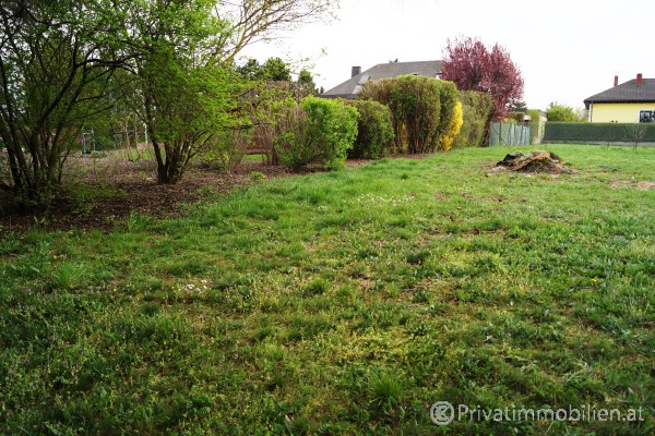 Grundstück für Einfamilienhaus / Villa - 2284 Untersiebenbrunn - 227110 Grundstück für Einfamilienhaus / Villa - 2284 Untersiebenbrunn - 227110