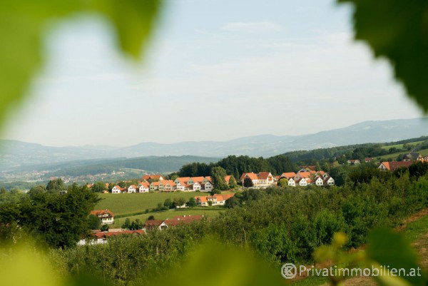 Ferienhaus / Ferienwohnung - Miete - 8271 Bad Waltersdorf - 230688