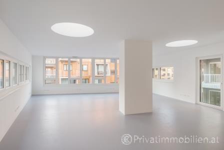 Bürofläche - 1220 Wien - 236335 Bürofläche - 1220 Wien - 236335
