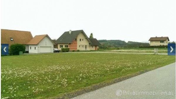 Grundstück für Einfamilienhaus / Villa - 8273 Ebersdorf - 236431 Grundstück für Einfamilienhaus / Villa - 8273 Ebersdorf - 236431