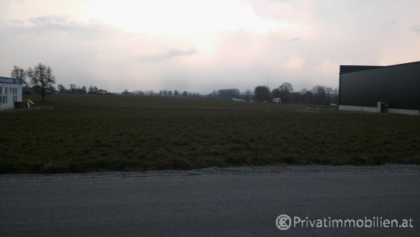 Grundstück für Betriebsansiedelung / Wohnbau - 4982 Kirchdorf am Inn - 236447 Grundstück für Betriebsansiedelung / Wohnbau - 4982 Kirchdorf am Inn - 236447