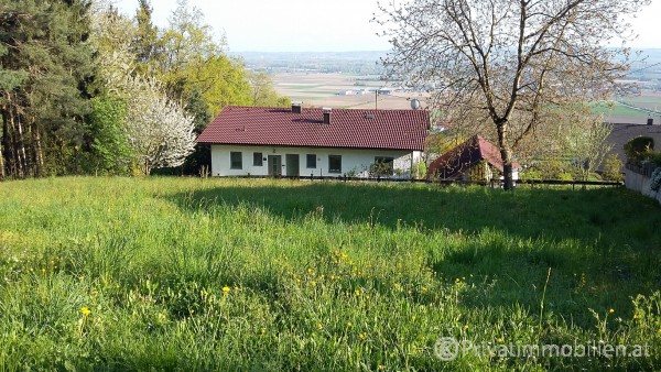 Grundstück für Einfamilienhaus / Villa - 4101 Feldkirchen/Bad Mühllacken - 236473 Grundstück für Einfamilienhaus / Villa - 4101 Feldkirchen/Bad Mühllacken - 236473