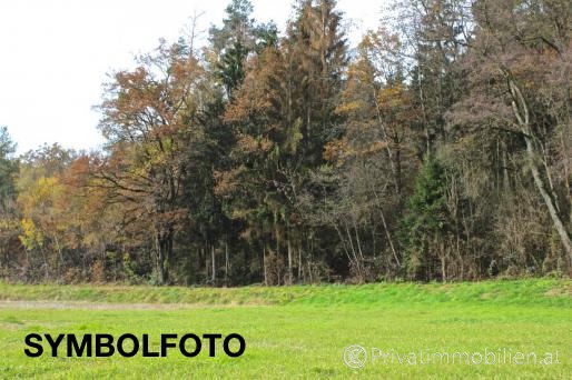 Grundstück für Einfamilienhaus / Villa - 2011 Sierndorf - 236511 Grundstück für Einfamilienhaus / Villa - 2011 Sierndorf - 236511