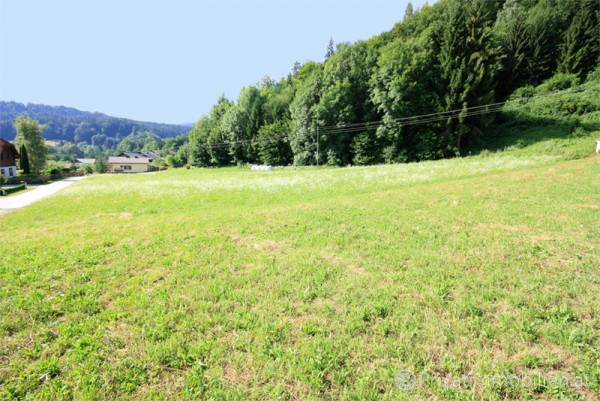 Grundstück für Betriebsansiedelung / Wohnbau - 9081 Reifnitz - 236843 Grundstück für Betriebsansiedelung / Wohnbau - 9081 Reifnitz - 236843