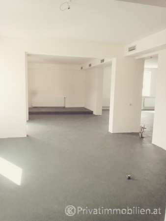 Geschäftslokal - 4631 Krenglbach - 237317 Geschäftslokal - 4631 Krenglbach - 237317