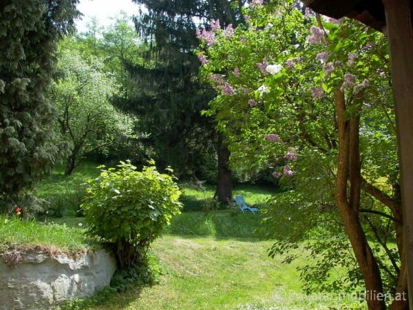 Grundstück für Einfamilienhaus / Villa - 3021 Pressbaum - 237703 Grundstück für Einfamilienhaus / Villa - 3021 Pressbaum - 237703