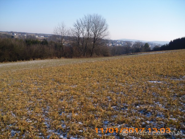 Grundstück für Betriebsansiedelung / Wohnbau - 7551 Stegersbach - 238127 Grundstück für Betriebsansiedelung / Wohnbau - 7551 Stegersbach - 238127