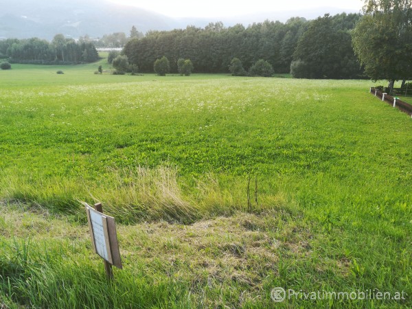 Grundstück für Einfamilienhaus / Villa - 3683 Yspertal - 238469 Grundstück für Einfamilienhaus / Villa - 3683 Yspertal - 238469