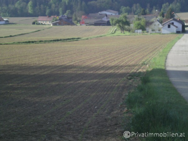 Grundstück für Einfamilienhaus / Villa - 8324 Radersdorf - 238899 Grundstück für Einfamilienhaus / Villa - 8324 Radersdorf - 238899