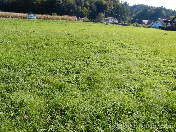 Grundstück für Einfamilienhaus / Villa - 8453 St. Johann - 239523 Grundstück für Einfamilienhaus / Villa - 8453 St. Johann - 239523