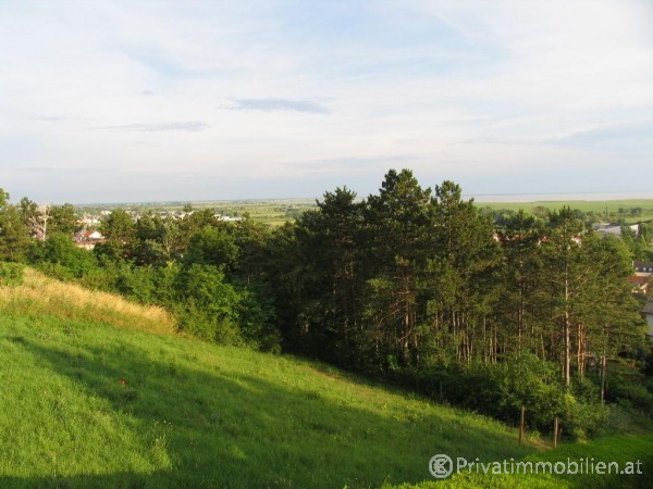 Grundstück für Ferienhaus / Ferienwohnung - 7100 Neusiedl am See - 239749 Grundstück für Ferienhaus / Ferienwohnung - 7100 Neusiedl am See - 239749