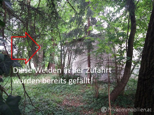 Grundstück für Einfamilienhaus / Villa - 5020 Salzburg - 239869 Grundstück für Einfamilienhaus / Villa - 5020 Salzburg - 239869