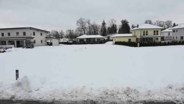 Grundstück für Einfamilienhaus / Villa - 9141 Eberndorf - 240651 Grundstück für Einfamilienhaus / Villa - 9141 Eberndorf - 240651
