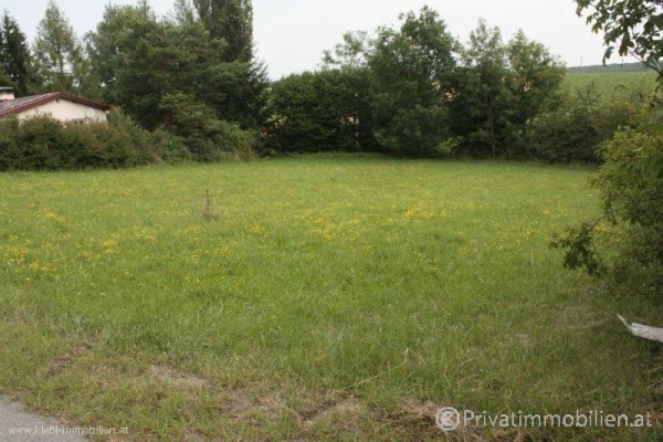 Grundstück für Einfamilienhaus / Villa - 2560 Ödlitz / Berndorf - 240665 Grundstück für Einfamilienhaus / Villa - 2560 Ödlitz / Berndorf - 240665