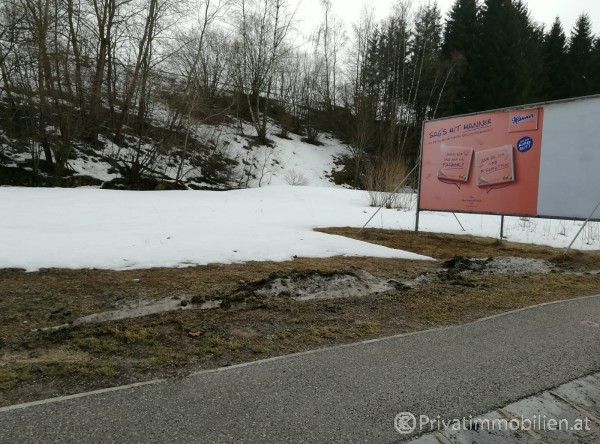 Grundstück für Einfamilienhaus / Villa - 3920 Groß Gerungs - 240819 Grundstück für Einfamilienhaus / Villa - 3920 Groß Gerungs - 240819