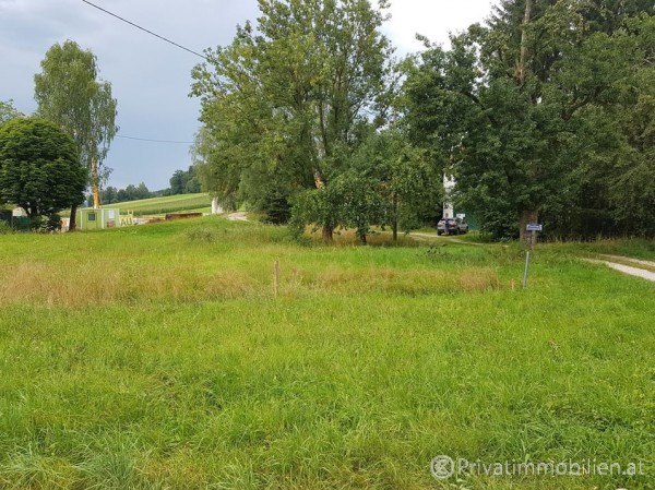 Grundstück für Einfamilienhaus / Villa - 4850 Jochling - 241039 Grundstück für Einfamilienhaus / Villa - 4850 Jochling - 241039