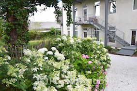 Eigentumswohnung - 8942 Wörschach - 241365 Eigentumswohnung - 8942 Wörschach - 241365