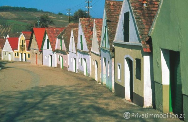 Haus / Einfamilienhaus und Villa - Kauf - 2061 Obritz - 241423 Haus / Einfamilienhaus und Villa - Kauf - 2061 Obritz - 241423