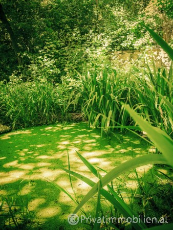 Grundstück für Einfamilienhaus / Villa - 1130 Wien - 241901 Grundstück für Einfamilienhaus / Villa - 1130 Wien - 241901