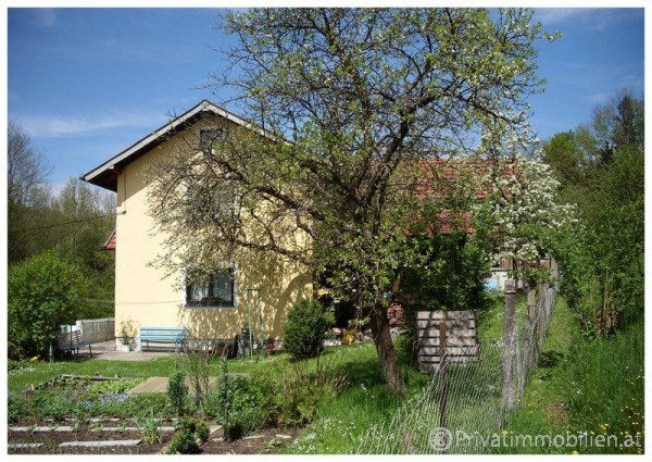 Haus / Einfamilienhaus und Villa - Kauf - 4843 Ampflwang - 241939 Haus / Einfamilienhaus und Villa - Kauf - 4843 Ampflwang - 241939