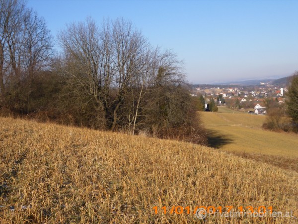 Grundstück für Betriebsansiedelung / Wohnbau - 7551 Stegersbach - 242074 Grundstück für Betriebsansiedelung / Wohnbau - 7551 Stegersbach - 242074