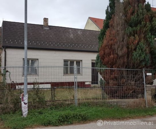 Grundstück für Einfamilienhaus / Villa - 2124 Niederkreuzstetten - 242228 Grundstück für Einfamilienhaus / Villa - 2124 Niederkreuzstetten - 242228
