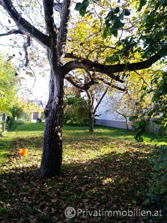 Grundstück für Einfamilienhaus / Villa - 2700 Wiener Neustadt - 245578 Grundstück für Einfamilienhaus / Villa - 2700 Wiener Neustadt - 245578