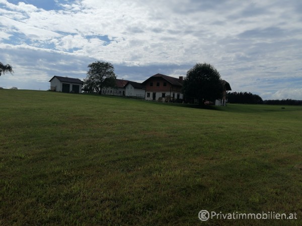 Haus / Einfamilienhaus und Villa - Kauf - 4723 Natternbach - 246378 Haus / Einfamilienhaus und Villa - Kauf - 4723 Natternbach - 246378