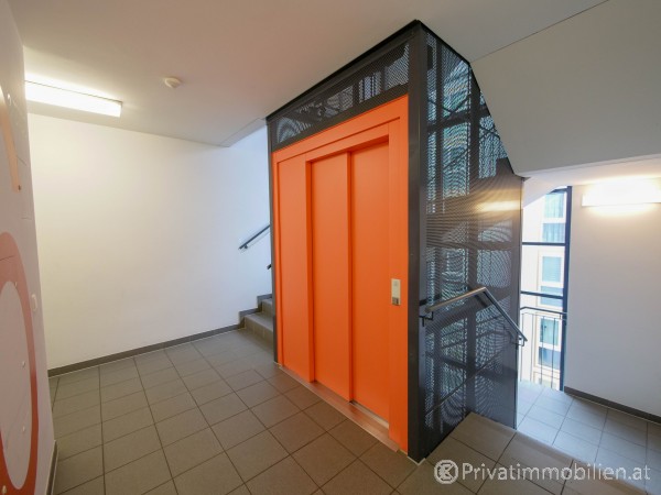 Eigentumswohnung - 1100 Wien - 246390 Eigentumswohnung - 1100 Wien - 246390