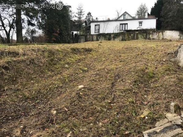 Grundstück für Einfamilienhaus / Villa - 3001 Mauerbach - 248098 Grundstück für Einfamilienhaus / Villa - 3001 Mauerbach - 248098