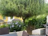 Haus / Einfamilienhaus und Villa - Kauf - 3032 Eichgraben - St. Pölten Land - 84.00 m² - Provisionsfrei