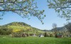 Mietwohnung - 3204 Kirchberg an der Pielach - St. Pölten Land - 70.00 m² - Provisionsfrei