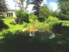 Haus / Einfamilienhaus und Villa - Miete - 8010 Graz - Graz Stadt - 69.00 m² - Provisionsfrei