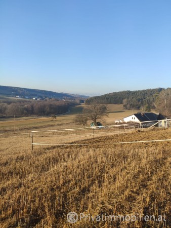 Haus / Einfamilienhaus und Villa - Kauf - 7540 Güssing - 254717 Haus / Einfamilienhaus und Villa - Kauf - 7540 Güssing - 254717