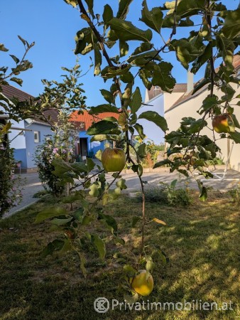 Haus / Einfamilienhaus und Villa - Kauf - 7000 Eisenstadt - 254786 Haus / Einfamilienhaus und Villa - Kauf - 7000 Eisenstadt - 254786