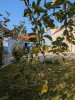 Haus / Einfamilienhaus und Villa - Kauf - 7000 Eisenstadt - Eisenstadt Stadt - 90.00 m² - Provisionsfrei