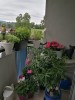 Eigentumswohnung - 6971 HARD - Bregenz - 96.00 m² - Provisionsfrei