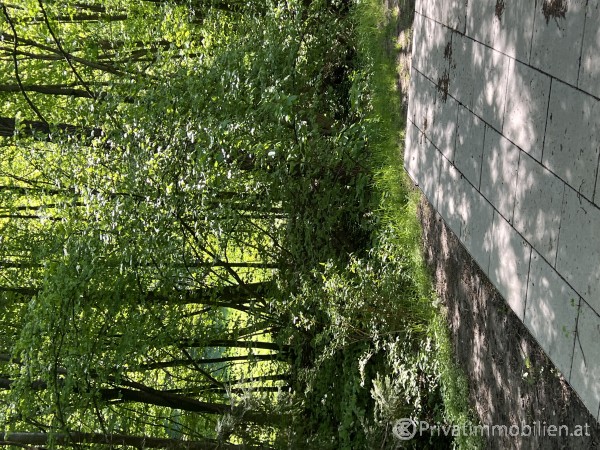 Haus / Einfamilienhaus und Villa - Kauf - 3001 Mauerbach - 254946