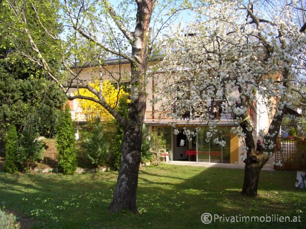 Mietwohnung - 2542 Kottingbrunn - 254984