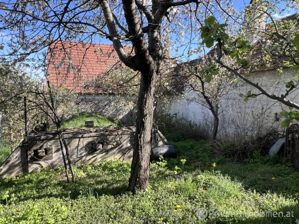 Ferienhaus / Ferienwohnung - Kauf - 7091 Breitenbrunn - 255009