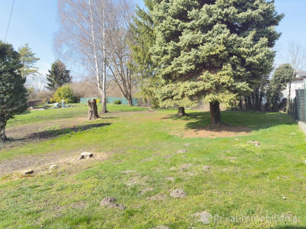 Grundst&uuml;ck f&uuml;r Einfamilienhaus / Villa - 3464 Gaisruck - 255012