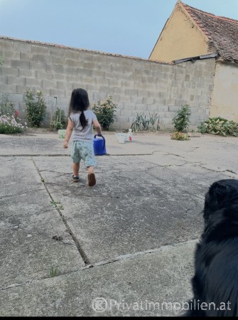 Haus / Einfamilienhaus und Villa - Miete - 2253 Tallesbrunn - 255027