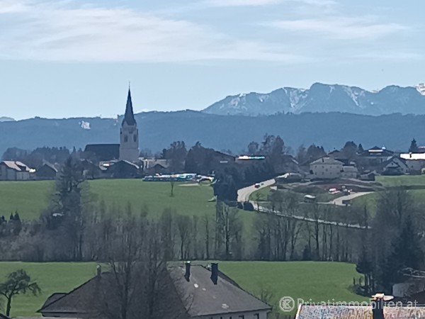 Grundstück für Einfamilienhaus / Villa - 4851 Gampern - 255051 Grundstück für Einfamilienhaus / Villa - 4851 Gampern - 255051