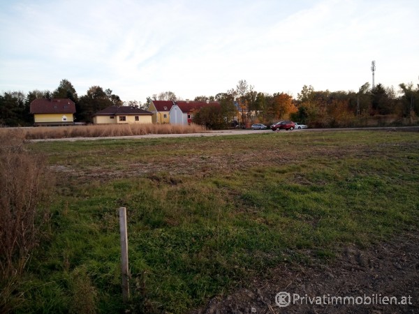 Grundst&uuml;ck f&uuml;r Einfamilienhaus / Villa - 2486 Siegersdorf - 255104