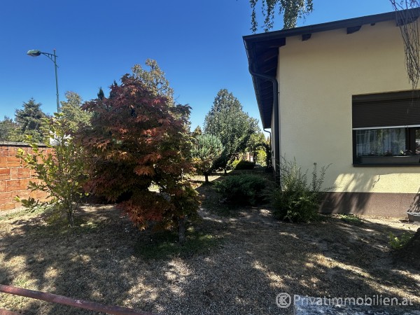 Haus / Einfamilienhaus und Villa - Kauf - 7011 Siegendorf - 255140