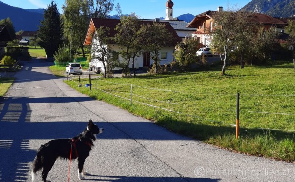 Haus / Einfamilienhaus und Villa - Kauf - 6610 Wängle - 255143 Haus / Einfamilienhaus und Villa - Kauf - 6610 Wängle - 255143