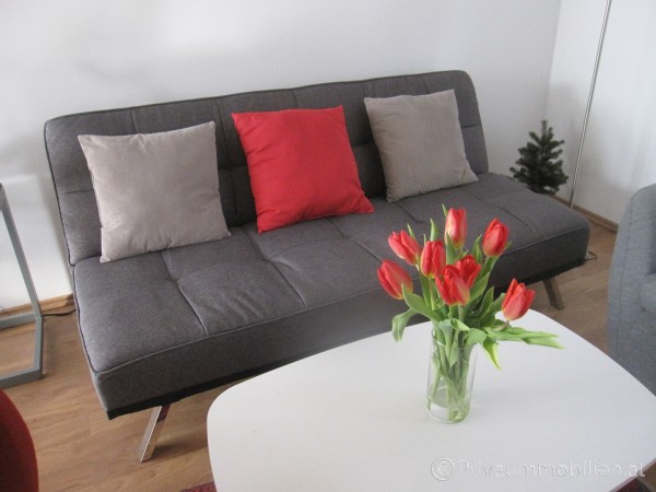 Genossenschaftswohnung - 7423 Pinkafeld - 255179