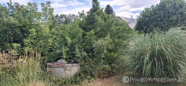 Haus / Einfamilienhaus und Villa - Kauf - 2320 Schwechat - 255249 Haus / Einfamilienhaus und Villa - Kauf - 2320 Schwechat - 255249